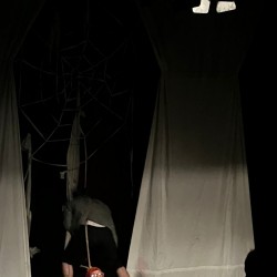 نمایش گوزن زرد | عکس