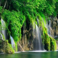 پارک ملی کروواسی | عکس