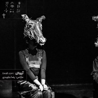 نمایش قلعه حیوانات | گزارش تصویری تیوال از نمایش قلعه حیوانات / عکاس:‌ رضا جاویدی | عکس