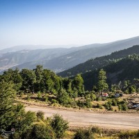 طبیعت تابستانی جنگل اولنگ و چشمه گل رامیان | عکس