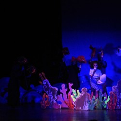 نمایش بچه نهنگ | عکس