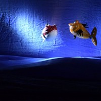 نمایش ماهی کوچولو | «ماهی کوچولو» در تالار هنر ماندنی شد. | عکس