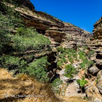  دره شیرز | عکس