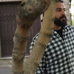 فیلم کوتاه پشت این صفحه‌ها | عکس