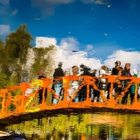 پاییز در باغ گیاه‌شناسی | عکس