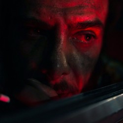 فیلم کوتاه فهرست حیوانات | عکس