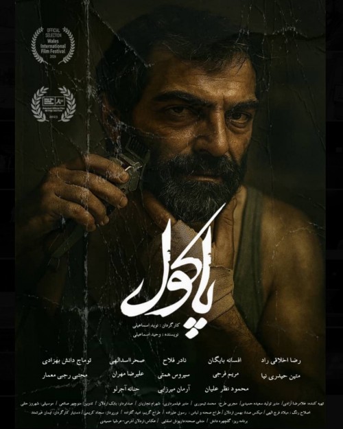 عکس فیلم پاکول