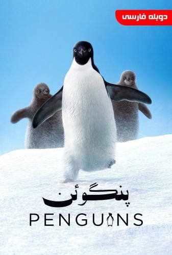 عکس مستند پنگوئن