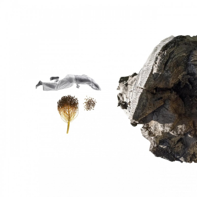 نمایشگاه «اولین» اثر هنرمند ایرانی «نیما زارع نهندی» در گالری «ناتالی اوبادیا» پاریس افتتاح شد | عکس