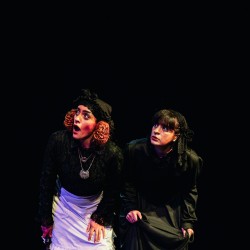 نمایش شب دوازدهم | عکس