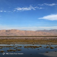 تالاب کمجان شیراز | عکس