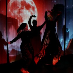 نمایش بزم پادشاه پروانه | عکس