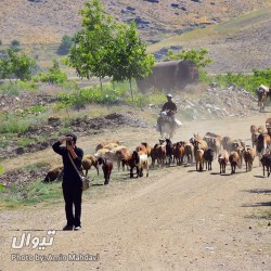 گردش یک سفر یک سفرنامه |روستای ورکانه - با حضور منصور ضابطیان| | عکس