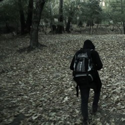 فیلم ریشه | عکس