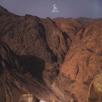 ازدواج در ارتفاعات کوه سینا | عکس