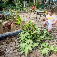 نمایش همه، پسران من | گزارش تصویری تیوال از نمایش همه، پسران من / عکاس: رضا جاویدی | عکس