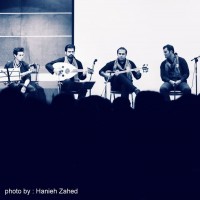 کنسرت گروه موسیقی گام | گزارش تصویری تیوال از کنسرت گروه موسیقی گام / عکاس: حانیه زاهد | عکس