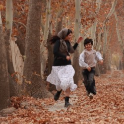 فیلم کوتاه تاوان | عکس