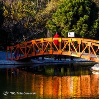 پاییز در باغ گیاه‌شناسی | عکس