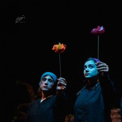 نمایش شش جوجه کلاغ و یک روباه | عکس