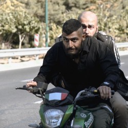 فیلم کوتاه طبق ماده | عکس