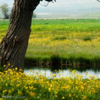 روستای کاکان | عکس