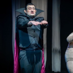 نمایش هتل ترانسیلوانیا | شیراز | عکس