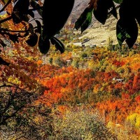 طبیعت پاییزی روستای سیلوار همدان | عکس