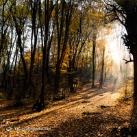 پاییز النگدره و هزار جریب | عکس