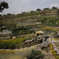 باغ پرندگان تهران | عکس