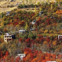 طبیعت پاییزی روستای سیلوار همدان | عکس