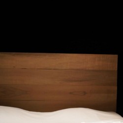 نمایش تابوت عهد | عکس