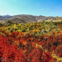 طبیعت پاییزی روستای سیلوار همدان | عکس