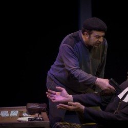 نمایش موش های بلفاست | عکس