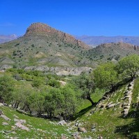 طبیعت بهاری گچساران در کهگیلویه و بویر احمد | عکس