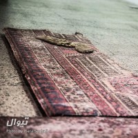 نمایشگاه دغدغه‌ها | گزارش تصویری نمایشگاه