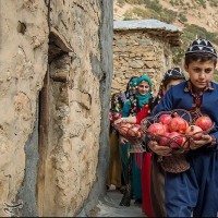 اولین جشنواره انار هورامان، کردستان | عکس