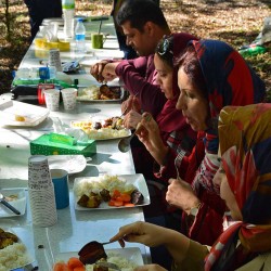 گردش سقراطی |برنامه دهم: جنگل جوارم و گفتگویی با موضوع مهاجرت| | عکس