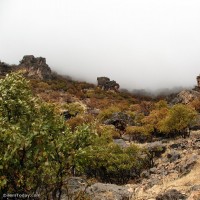 طبیعت روستای زنجیره ایلام | عکس