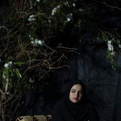 نمایش زیر درخت یاس | عکس