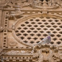 خانه بروجردی ها | عکس