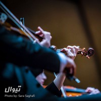 کنسرت ارکستر آرکو | گزارش تصویری تیوال از کنسرت ارکستر آرکو، سری نخست / عکاس: سارا ثقفی | ارکستر آرکو