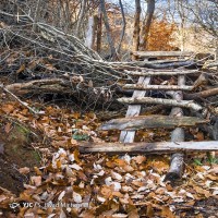 طبیعت روستای سیدان | عکس