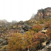 طبیعت روستای زنجیره ایلام | عکس