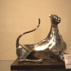 گردش پلاک | عکس