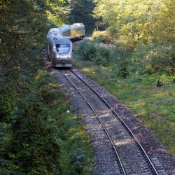 گردش قطار گردشگری شمال (شیرگاه) | عکس