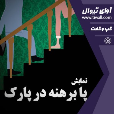 نمایش پابرهنه در پارک | گفتگوی تیوال با محمدرضا انتظامی  | عکس