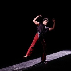 نمایش کاوالو | Cavallo | عکس