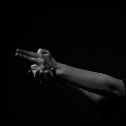 نمایش ماجرای عجیب سگی در شب | عکس