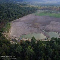 نمایش جمعه کشی | گزارش تصویری تیوال از نمایشنامه خوانی جمعه‌کشی / عکاس: نیلوفر علمدارلو  | عکس